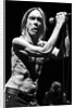 Iggy Pop and The Stooges (1) by Karen Toftera